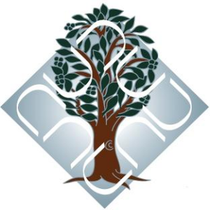 Dr. B.R. Ambedkar University Delhi Logo